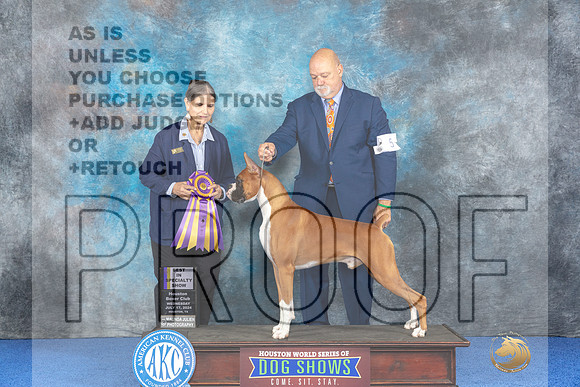 Boxer #5 WED BOB Judge Cathy De La Garza_JP_6535_Houston_2024-HR3
