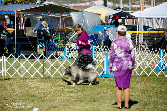 _JJ_1580-AlamogordoOct2014-HR3