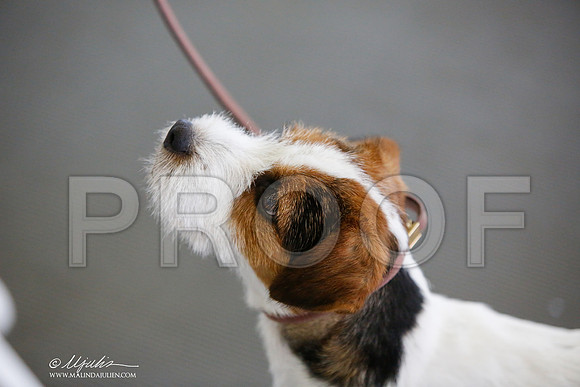 _JJ_2236-DallasJul2014-HR3