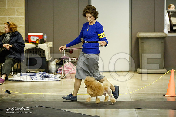 _JJ_5528-BeltonJan2015IABCA-HR3