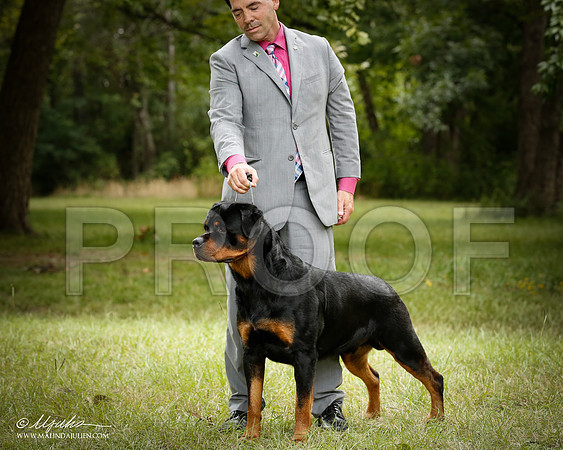 Rott-4982-CntnOct13-HR