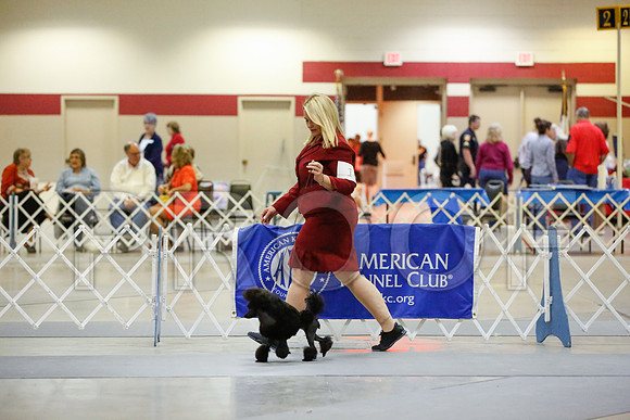 _JN_7880-AmarilloSept2014-HR3