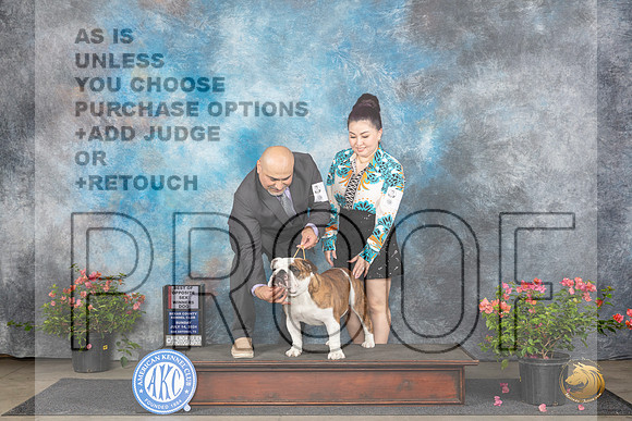 Bulldog #5 Sun WDBOS Judge Christie Martinez__JP_5832_San Antonio_2024_HR3