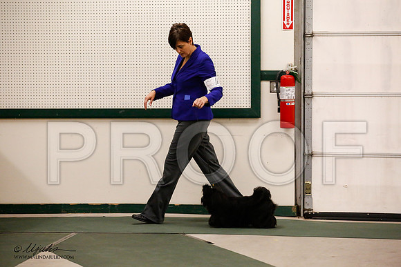 _JN_9454-NrmnNov2014-HR3