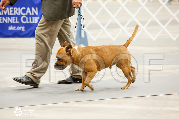 _CK_8528-AblnMay2014-web