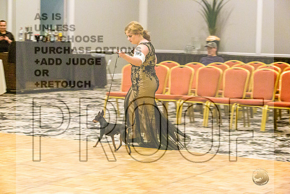Manchester Terrier MTOY Candids-JJL_2349-Hstn2022_HR3