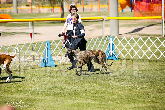 _JJ_5637-AlamogordoOct2014-HR3