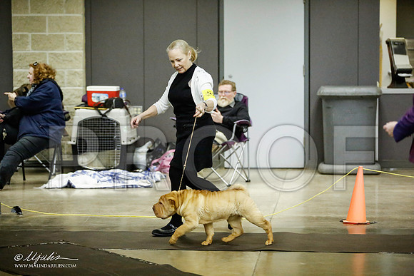 _JJ_5697-BeltonJan2015IABCA-HR3
