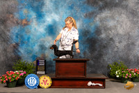 Dachshund Smooth #26 Sat BOW Judge Anne Bolus
