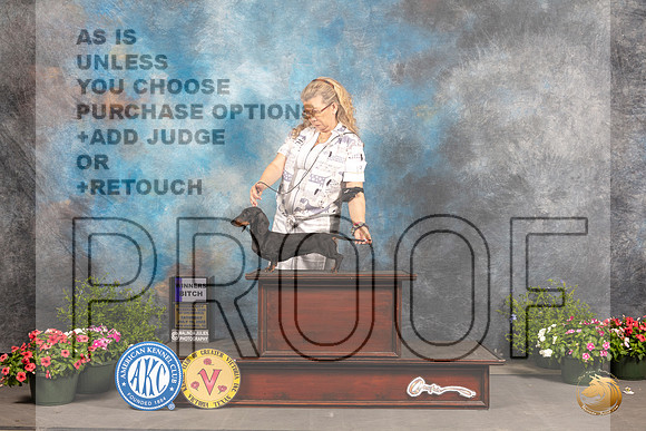 Dachshund Smooth #26 Sat BOW Judge Anne Bolus_MJ_0276_SA_2022_HR3