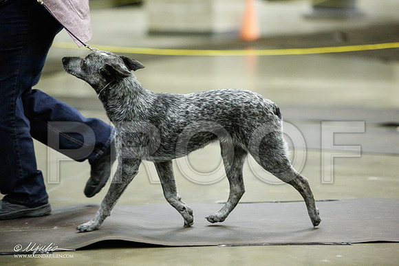 _JJ_6963-BeltonJan2015IABCA-HR3