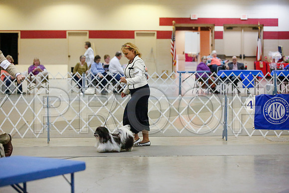 _JJ_8751-AmarilloSept2014-HR3