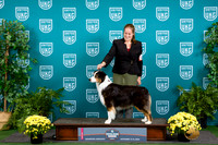 Australian Shepherd #102 Sat G2