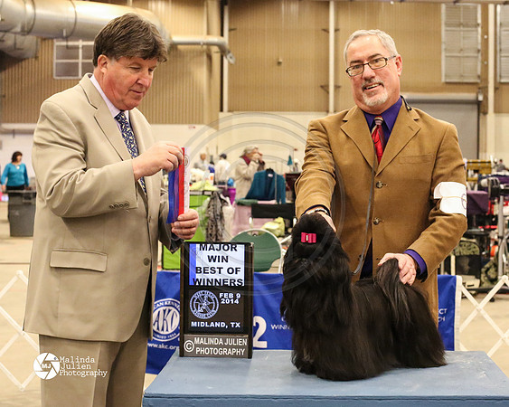 ShihT-7705-MidFeb14-HR