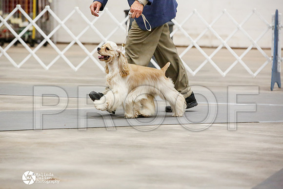 _JN_0671-AblnMay2014-web