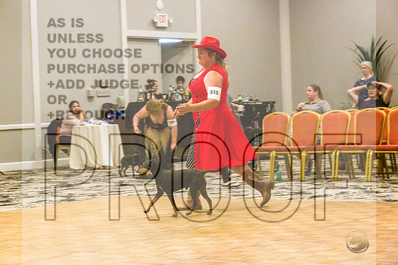 Manchester Terrier MTOY Candids-JJL_2234-Hstn2022_HR3