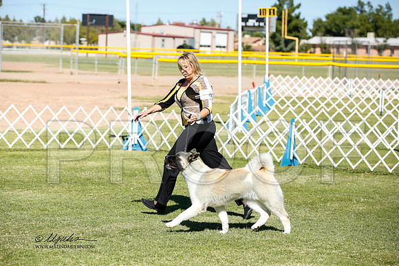 _JN_0648-AlamogordoOct2014-HR3