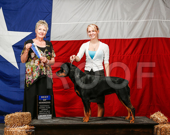 _ST_2070-2-AmarilloSep2014-HR3