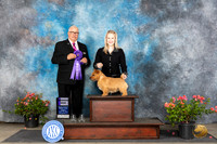 Norwich #9 Sun WD Judge John F Booth