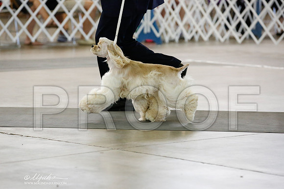 _JN_2076-DallasJul2014-HR3