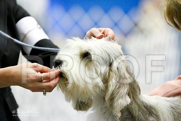 PBGV-3421LR
