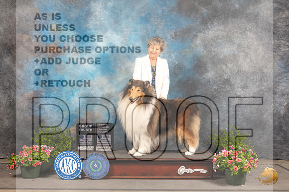 Collie Rough #9 Sun BOVG4 Judge Robert Shreve OHG4 Judge Allen Odom_MJ_1487_SA_2022_HR3
