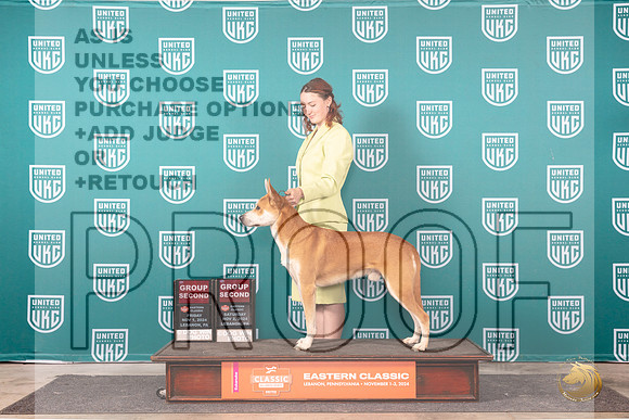 Carolina Dog #146 Fri Sat note__JP_2430_UKCEastern_2024_HR3