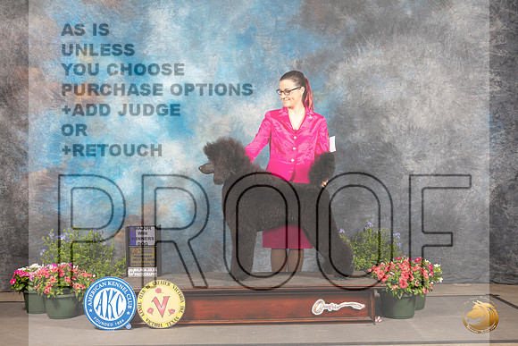 Poodle Std #5 Thur WD Judge Jan Paulk_MJ_0083_SA_2022_HR3