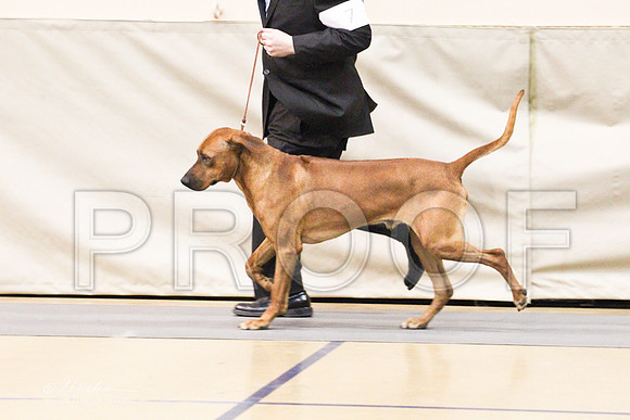 Ridgeback-9219LR