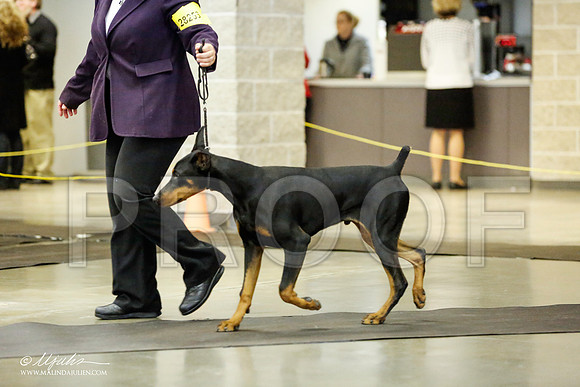 _RH_1583-BeltonJan2015IABCA-HR3