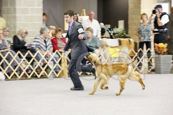 _JJ_1916-AfgBeltonOct2014-HR3