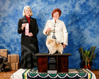 Pomeranian #5 Sat OHG1 +A1