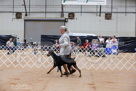 _JJ_0361-TxArJun2014-HR3