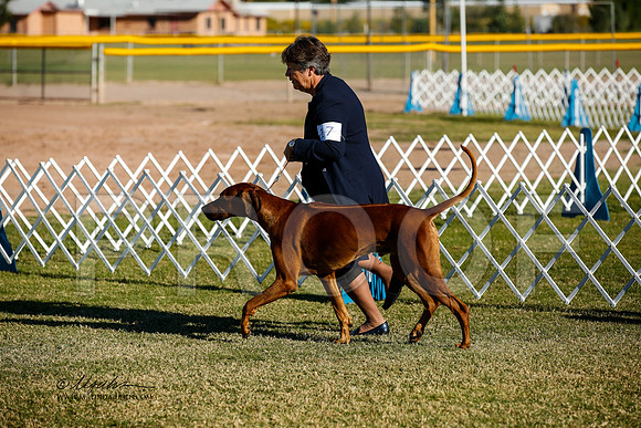 _JJ_2175-AlamogordoOct2014-HR3