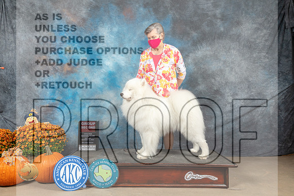 Samoyed #5 Sun G3 Judge Donnell Richards_MJ_6805_Belton_2022_HR3