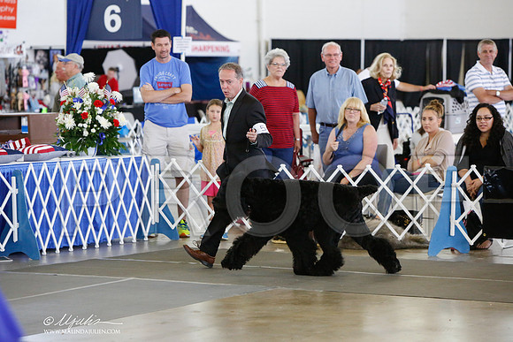_JJ_1616-DallasJul2014-HR3