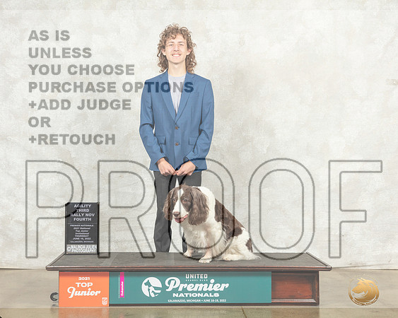 English Springer Spaniel #832 ARNov Judge Kim Thomason__MJ_8295_Premier_2022_HR3