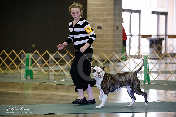 _JN_1293-BeltonJan2015-HR3