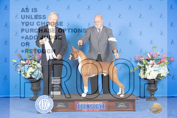 Boxer #5 SUN G4 Judge James Moses_JP_0832_Houston_2024-HR3