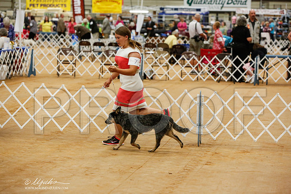 _JN_2204-TxArJun2014-HR3