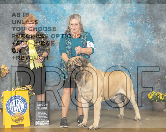 Mastiff #5 Thur G3 Judge Betty Pollock-MMJ_8900-NWARK2022-HR3