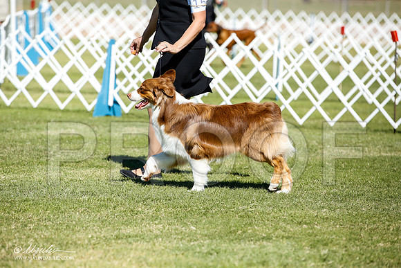 _JN_8629-AlamogordoOct2014-HR3