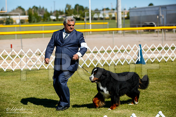 _JJ_0014-AlamogordoOct2014-HR3