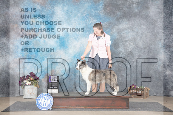 Border Collie #8 Sun WB Judge Gloria Kerr__JP_7834_Belton_2024_HR3