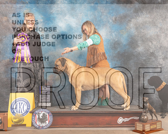 Golden Retriever #8 Fri BISS Judge Nancy Simmons-MMJ_6950-FW2022-HR3