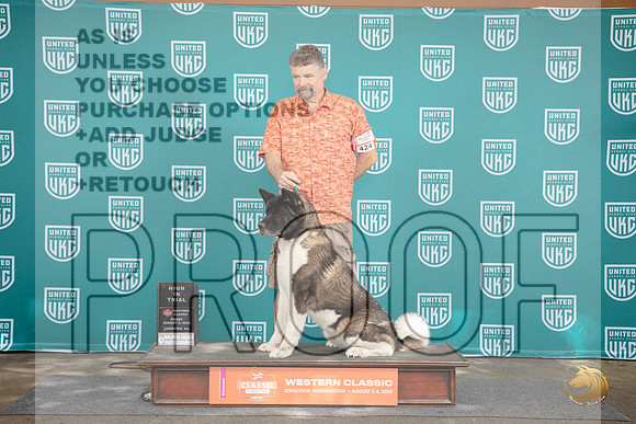 Akita #423 Sat High In Trial Judge Sue Knowles__JP_1387_Longview WA_2024_HR3