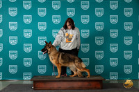 German Shepherd Dog Beth Wed