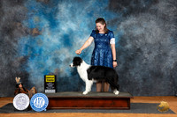 Border Collie #6 Fri G3 Judge Denise Dean