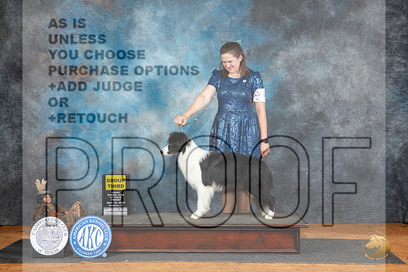 Border Collie #6 Fri G3 Judge Denise Dean__JP_7444_MARSHALL_2024_HR3