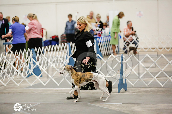 _RH_1857-AblnMay2014-web